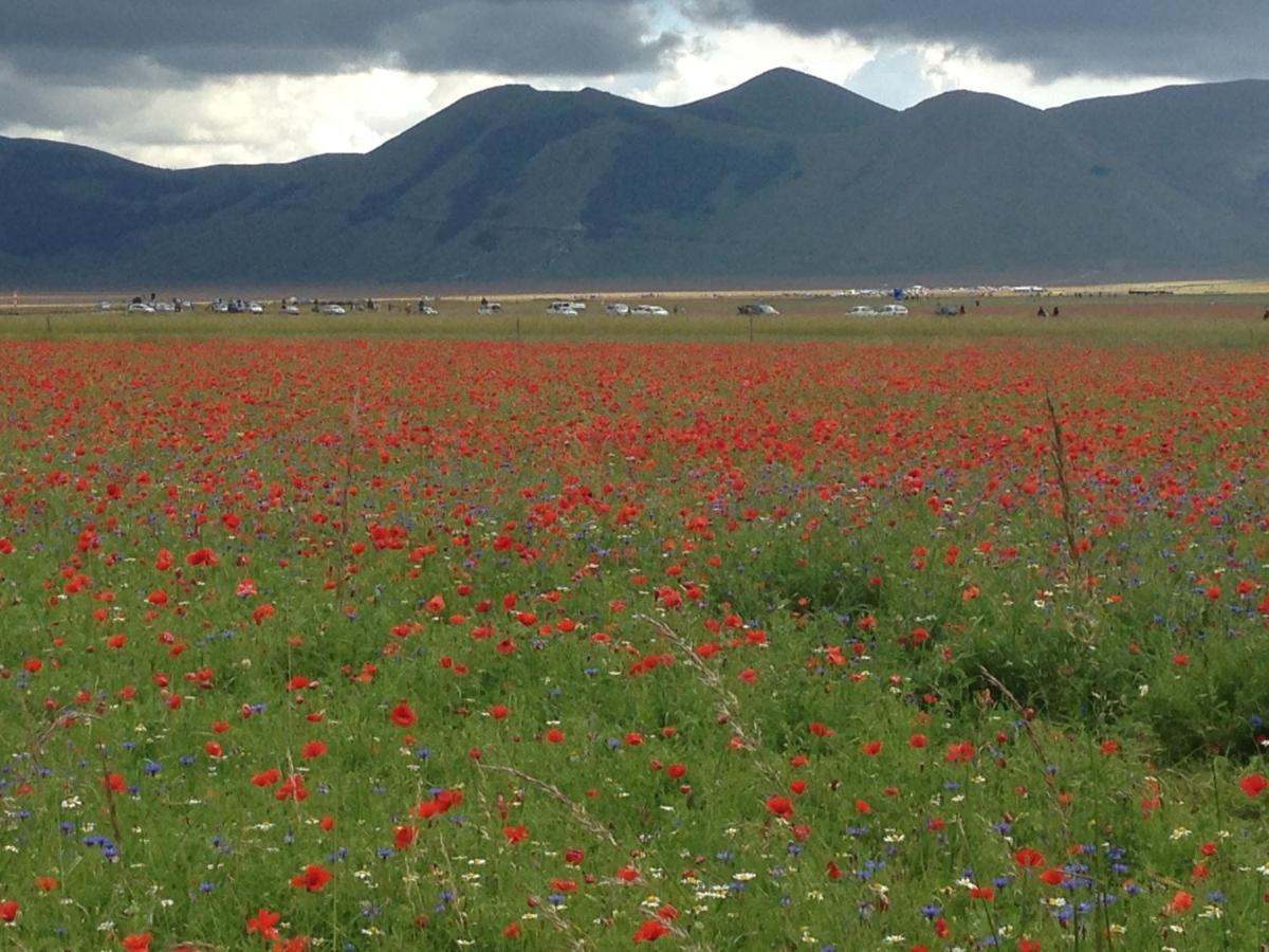 Villacolle Visso エクステリア 写真